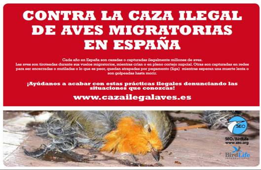 Caza Ilegal de Aves