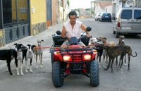 Andalucía ultima la legalización de los entrenamientos de galgos atados a motos