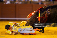 ASANDA cuestiona que un torero sea elegido “Embajador Turístico de la Provincia de Huelva”