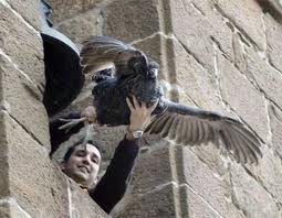 Asanda vigilará si este domingo se lanza una pava viva desde el campanario de la parroquia de Cazalilla