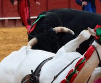 Cogida mortal a caballo de rejoneo