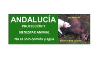 CRISPANTE CAMPAÑA DE LA JUNTA DE ANDALUCÍA