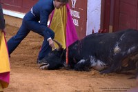 Día histórico: entra en vigor la prohibición de las corridas de toros en Cataluña.
