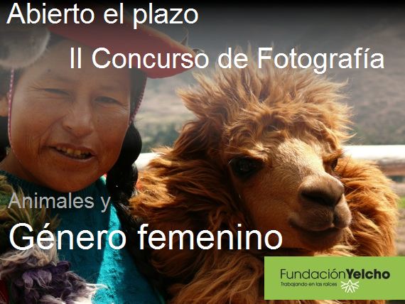 II concurso de Fotografía de la Fundación Yelcho