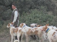 La UE da la razón a Asanda en una queja sobre el transporte de animales para rehalas de perros de caza