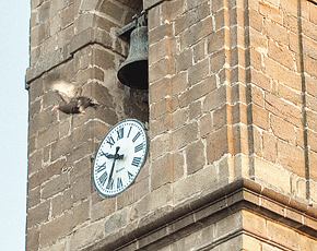  Nueva denuncia por lanzar la pava desde el campanario de Cazalilla